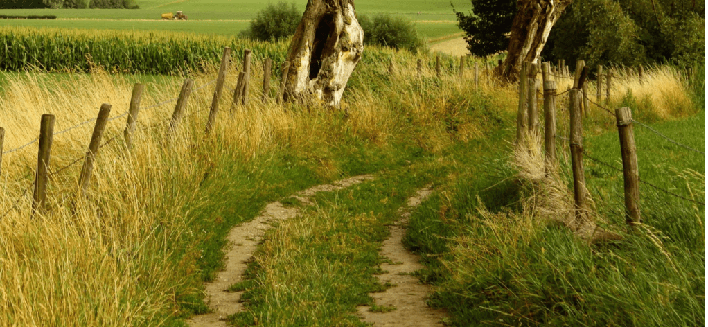 Coping with Grief