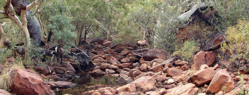 Rocky nearly dry creek in the bush - Not unlike the hunger games, where building community was the key