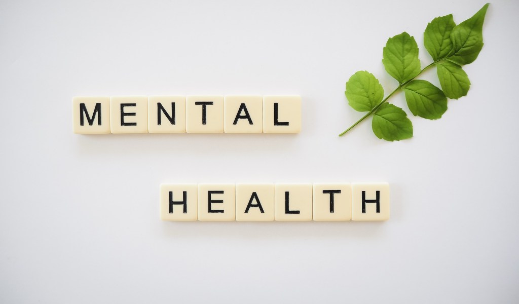 Scrabble tiles spelling out mental health on a white background with a green leafy branch next to it, for mental health and nutrition for special needs mums